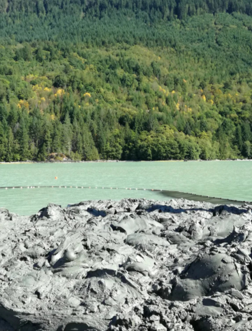 Born of Glacier, Defined by Ocean.